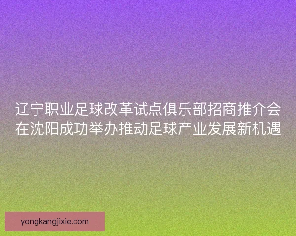 辽宁职业足球改革试点俱乐部招商推介会在沈阳成功举办推动足球产业发展新机遇